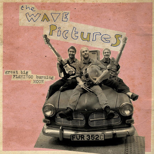 The Wave Pictures - Great Big Flamingo Burning Moon