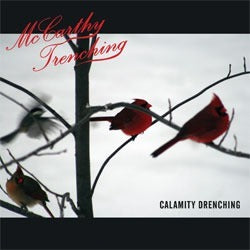 McCarthy Trenching - Calamity Drenching